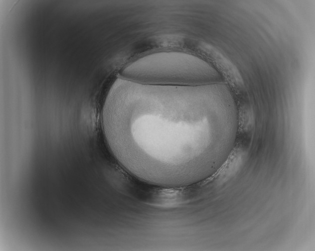 X0000102520176200809051451