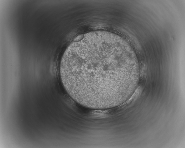 X0000102520179200809051451