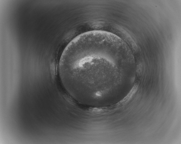X0000102520180200809051451