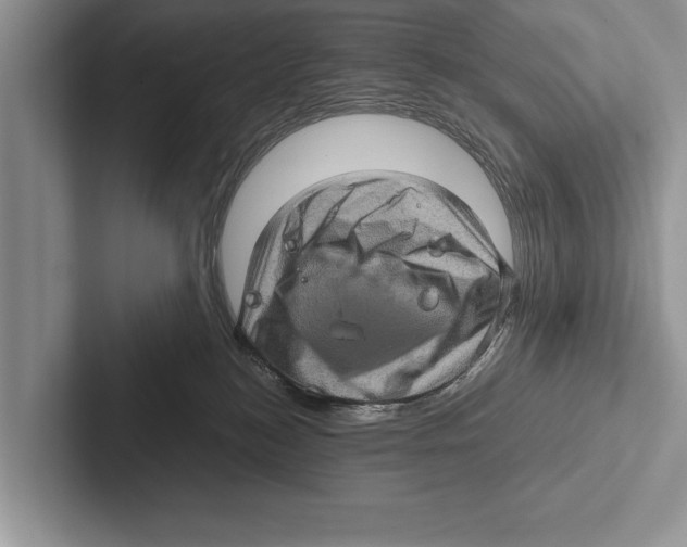 X0000102520184200809051451
