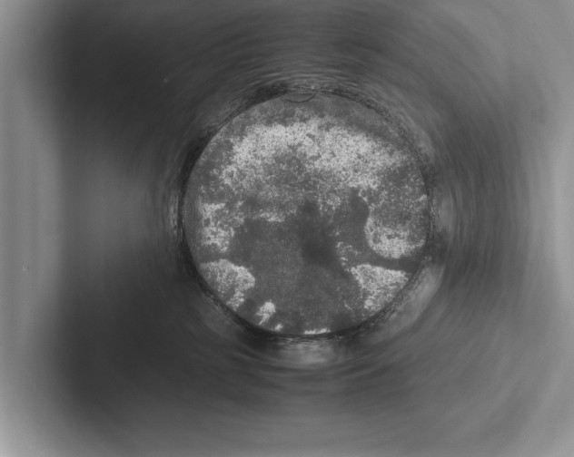 X0000102520185200809051451