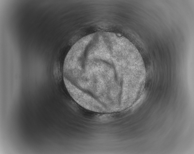X0000102520186200809051451