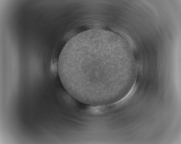 X0000102520190200809051451