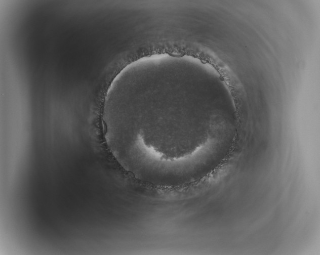 X0000102520192200809051451