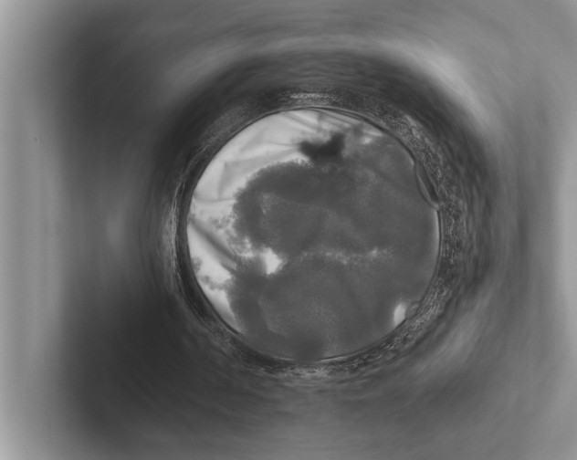 X0000102520194200809051451