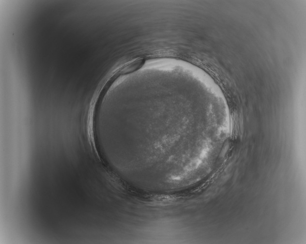 X0000102520195200809051450