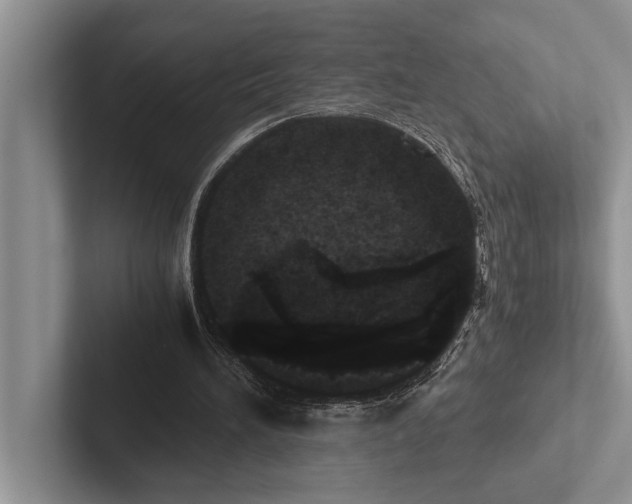 X0000102520196200809051450
