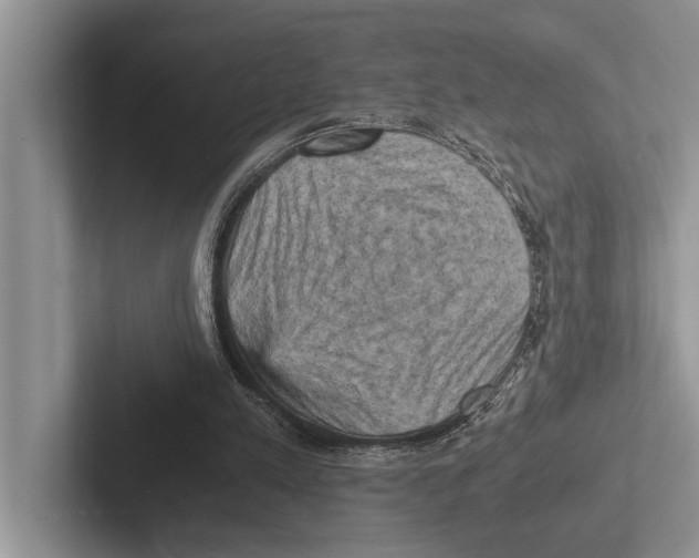 X0000102520197200809051450