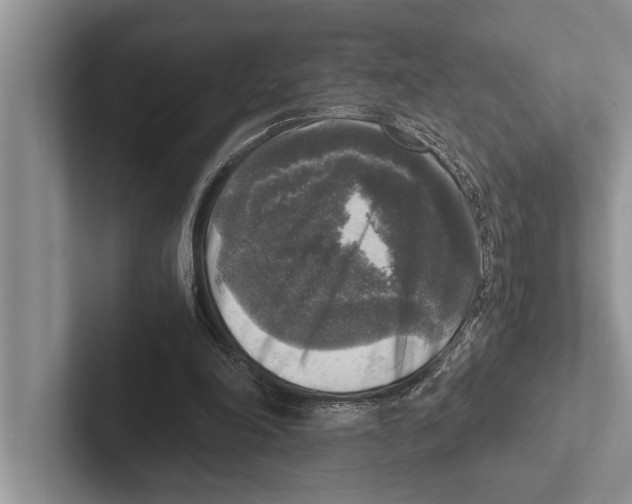 X0000102520198200809051450
