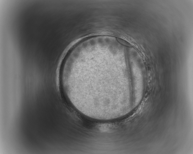 X0000102520200200809051450