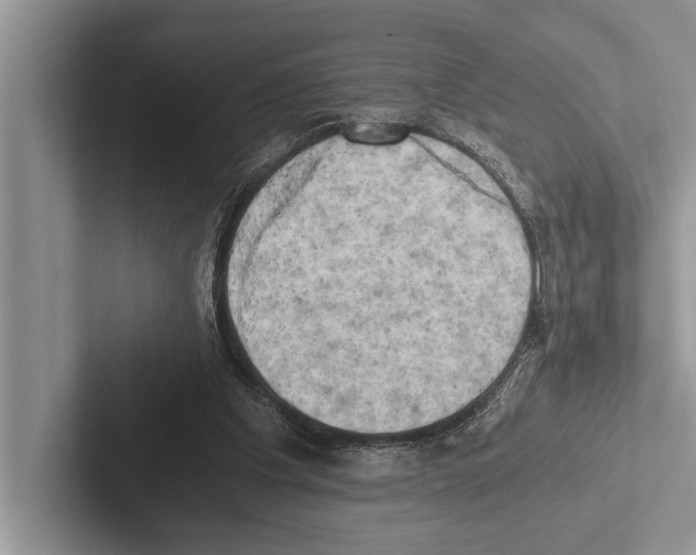 X0000102520201200809051450