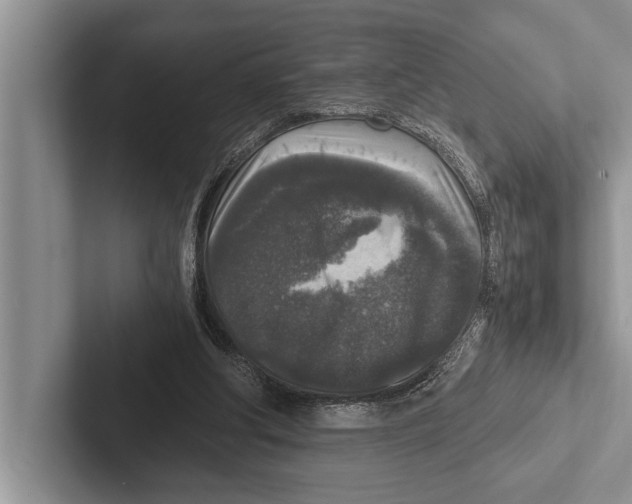 X0000102520202200809051450