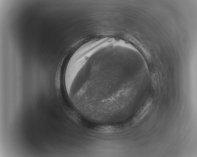 X0000102520203200809051450