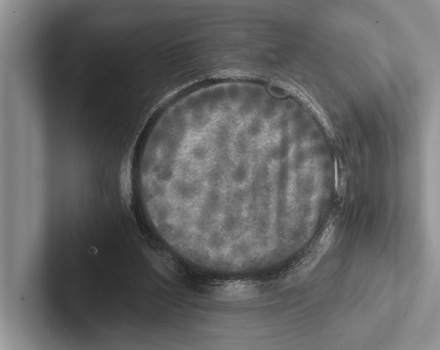 X0000102520204200809051450