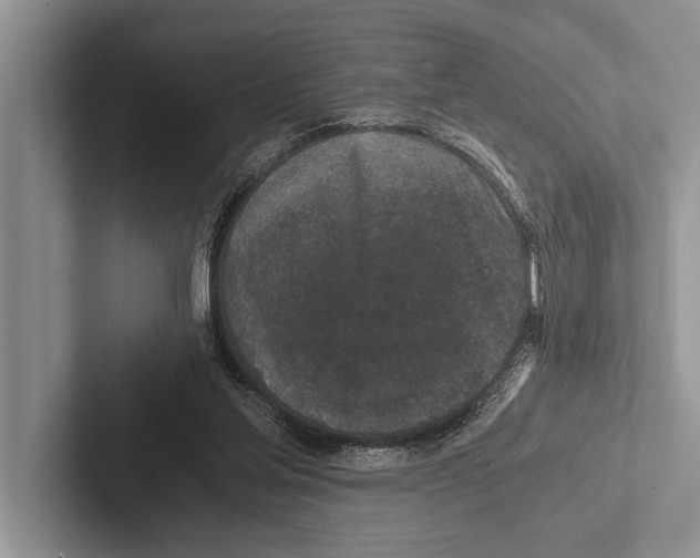 X0000102520205200809051450