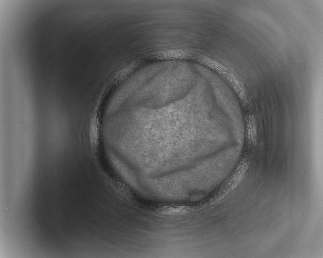 X0000102520206200809051450