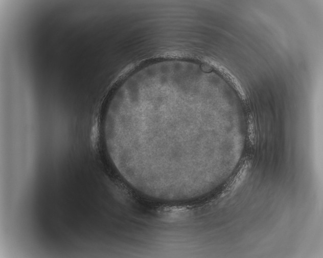 X0000102520208200809051450