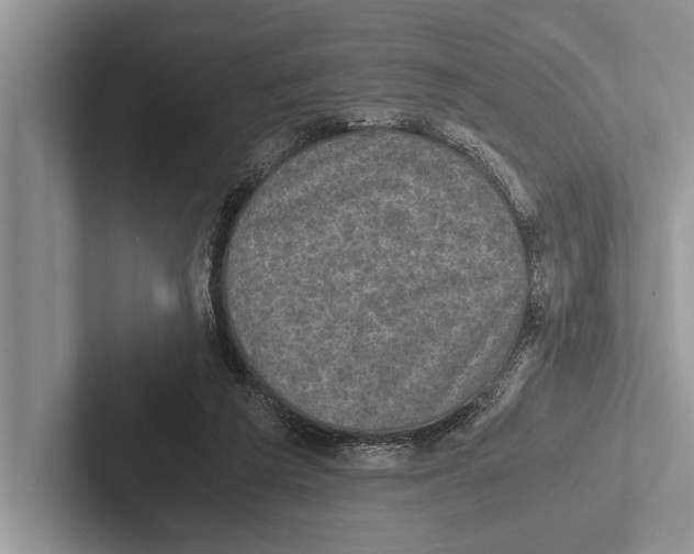 X0000102520209200809051450