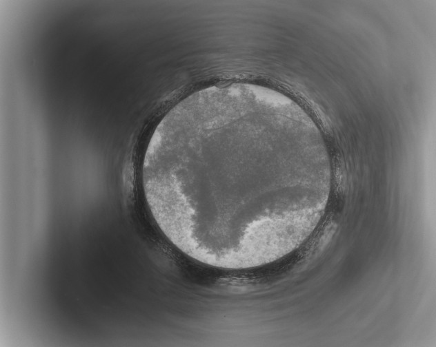 X0000102520211200809051450