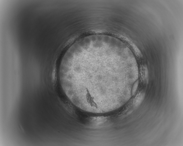 X0000102520212200809051450