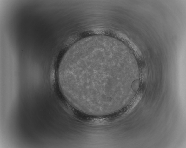 X0000102520213200809051450