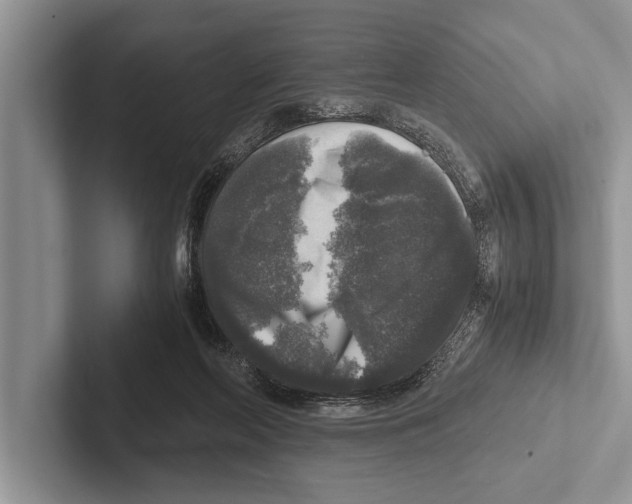 X0000102520214200809051450