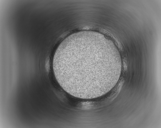 X0000102520216200809051450