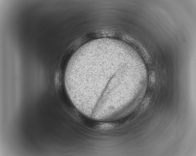 X0000102520218200809051450
