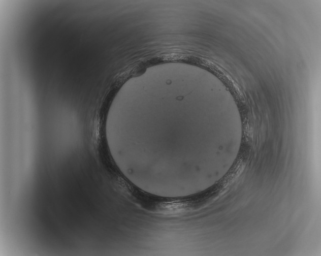 X0000102520219200809051450