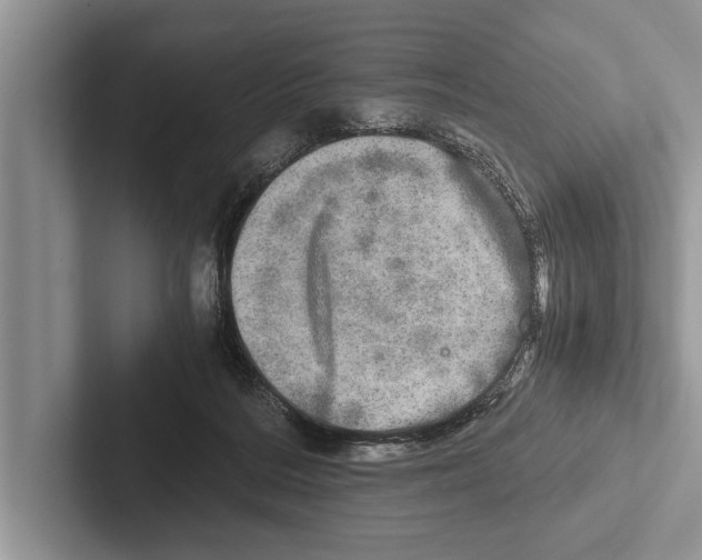 X0000102520220200809051450