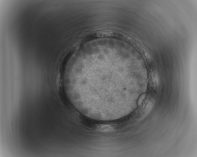 X0000102520224200809051450