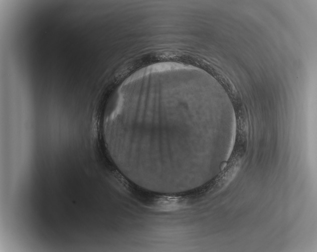 X0000102520227200809051450