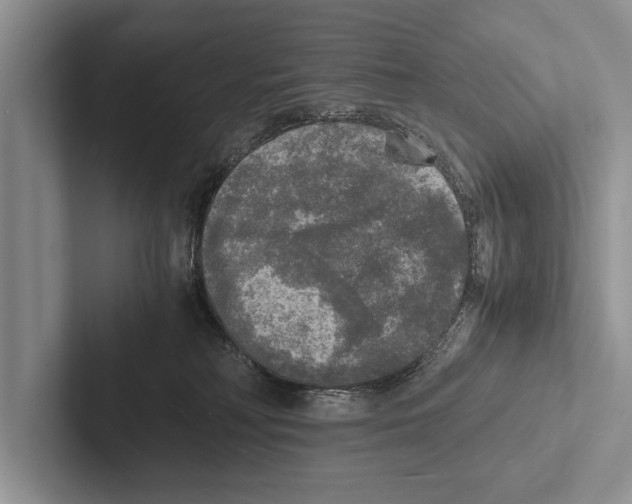 X0000102520230200809051450