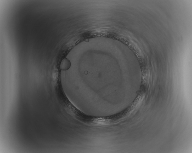 X0000102520231200809051450