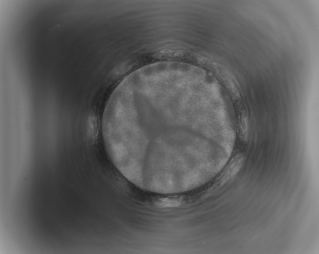 X0000102520232200809051450