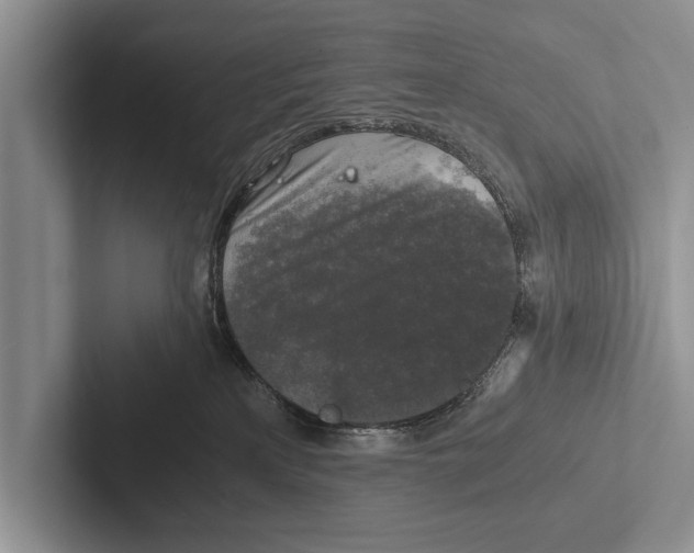 X0000102520233200809051450