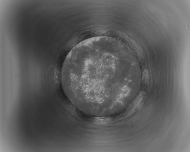 X0000102520234200809051450