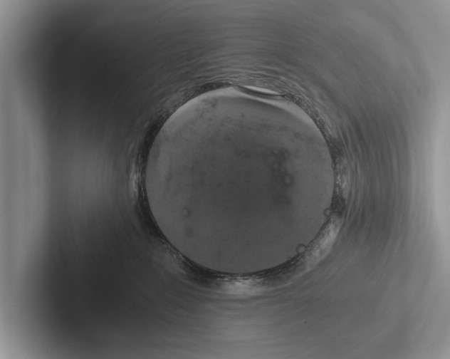 X0000102520235200809051450