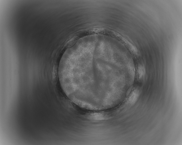 X0000102520236200809051450