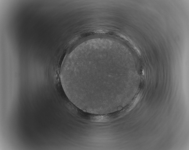 X0000102520237200809051450