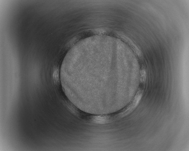 X0000102520238200809051450