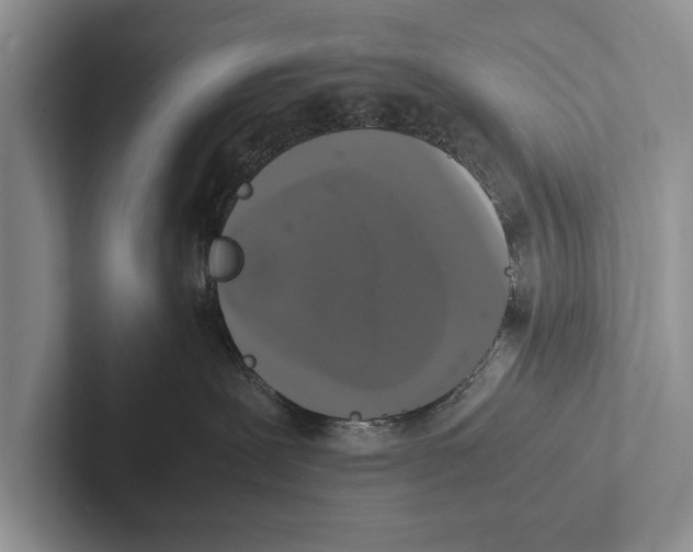 X0000102520239200809051450