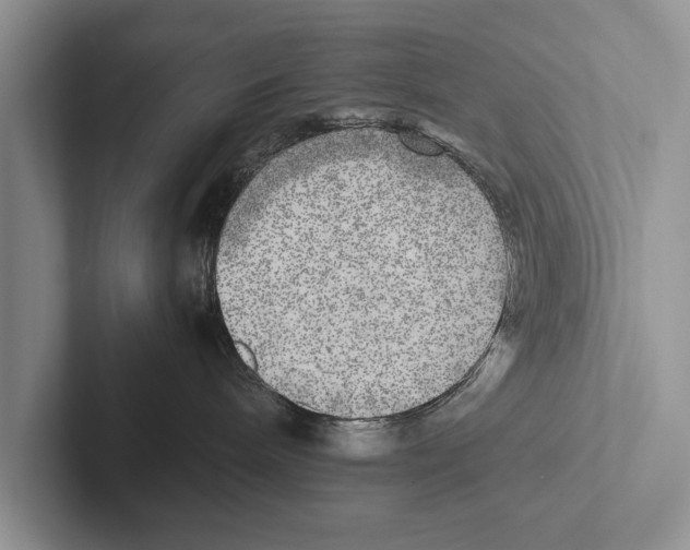 X0000102520240200809051450