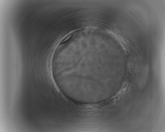 X0000102520241200809051449