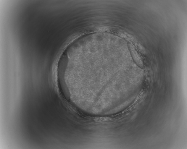 X0000102520242200809051449