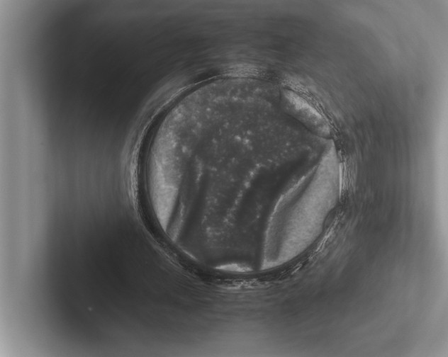 X0000102520243200809051449