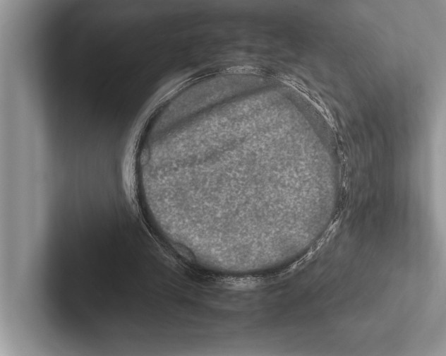 X0000102520245200809051449