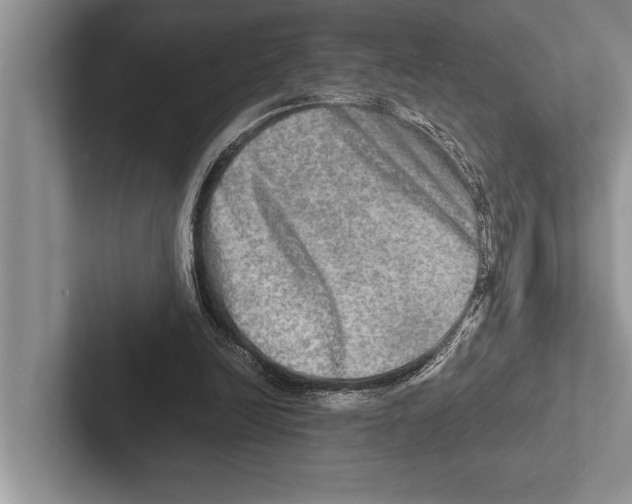 X0000102520246200809051449