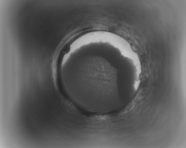 X0000102520247200809051449