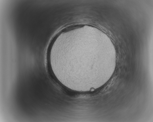 X0000102520248200809051449